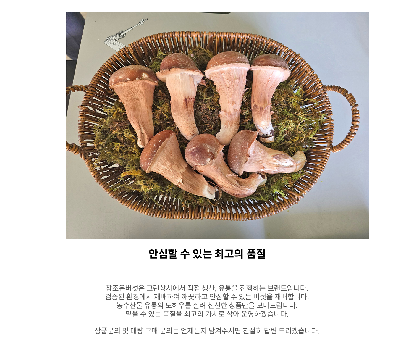 회사소개