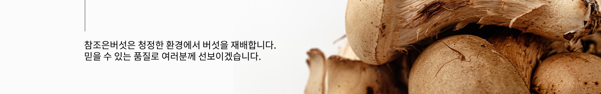 회사소개